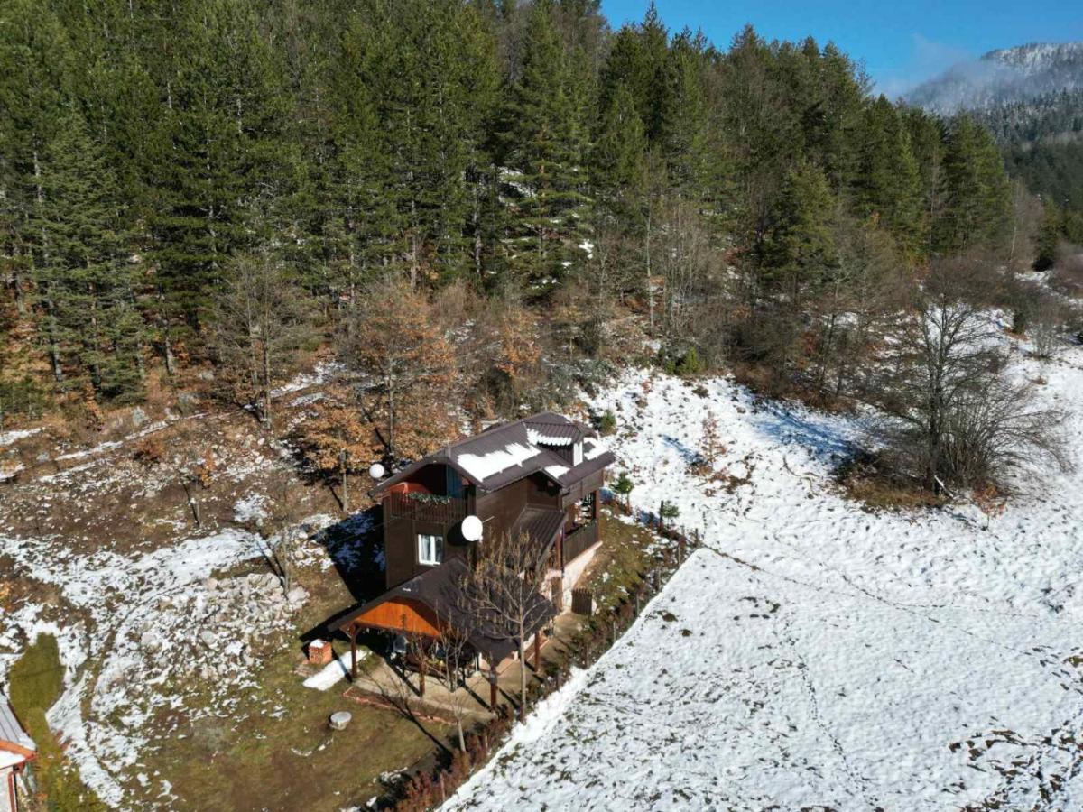 Villa Vikendica Moonlight Zaovine Exterior foto