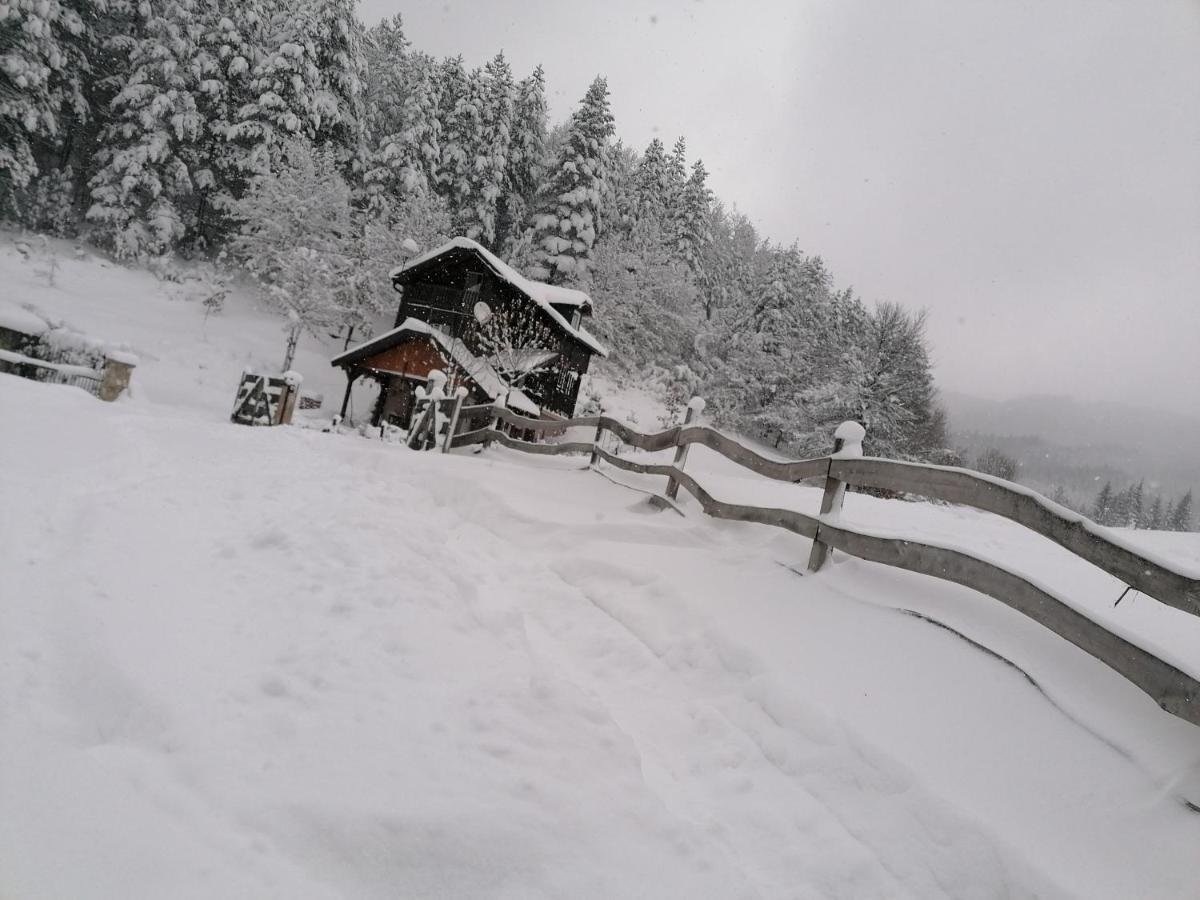 Villa Vikendica Moonlight Zaovine Exterior foto