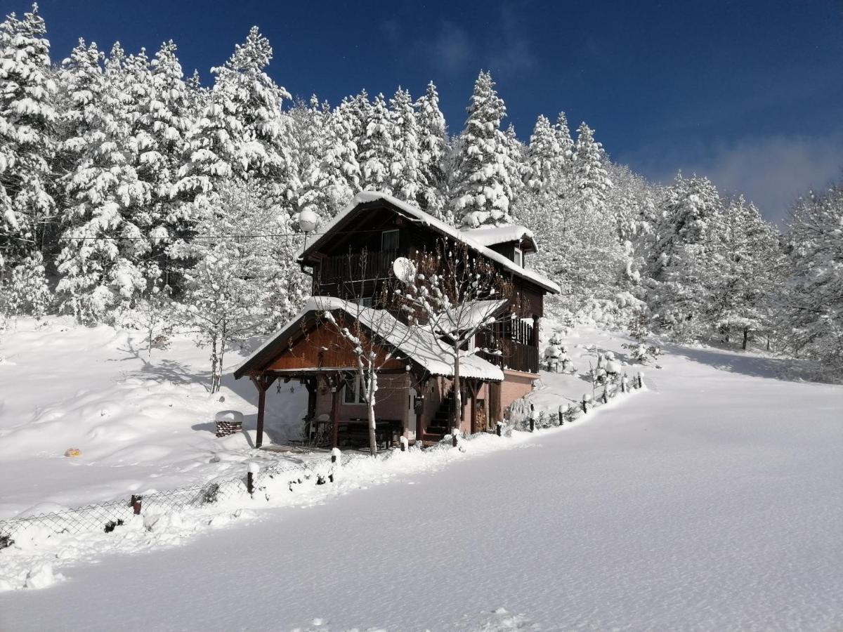 Villa Vikendica Moonlight Zaovine Exterior foto