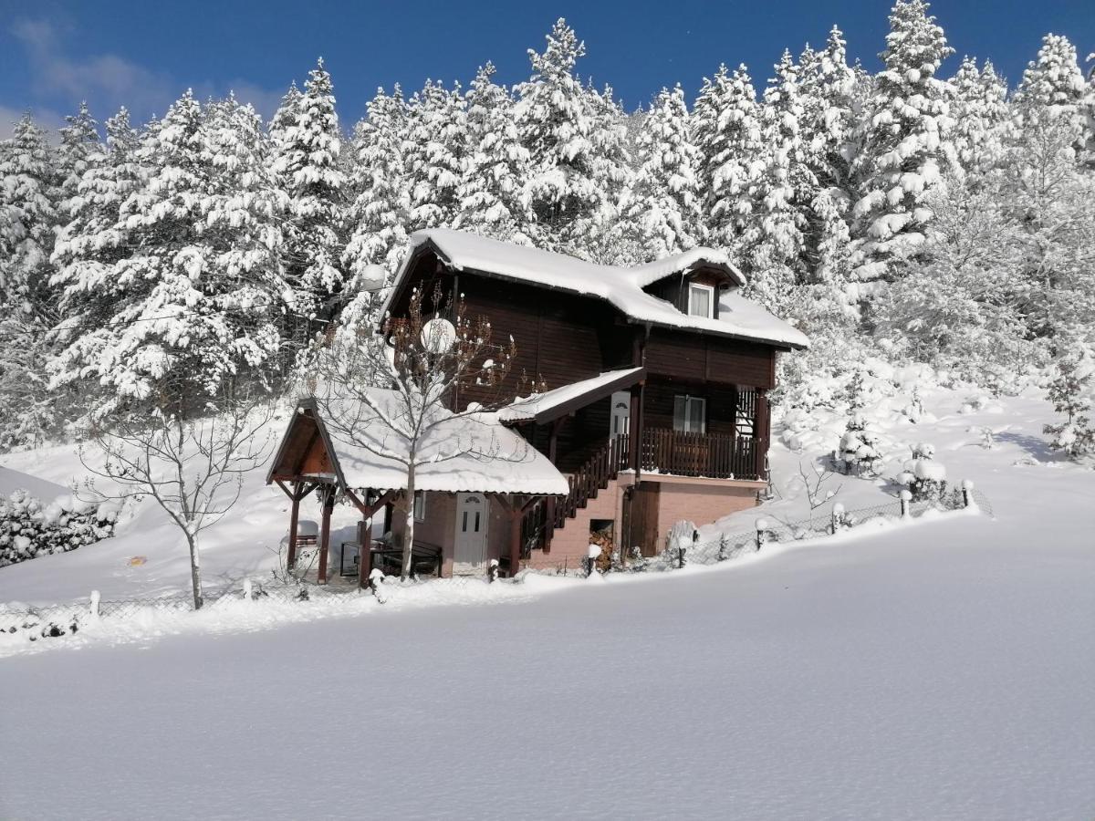 Villa Vikendica Moonlight Zaovine Exterior foto
