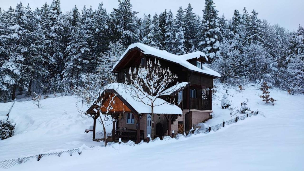 Villa Vikendica Moonlight Zaovine Exterior foto
